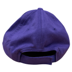 Epilepsy Queensland Cap